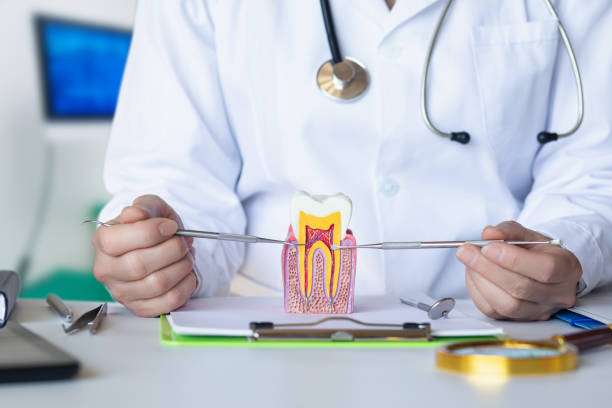 Best Emergency Broken Tooth Repair in Yuma, CO